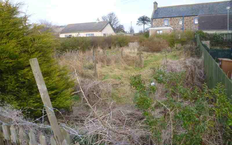 selling land at auction